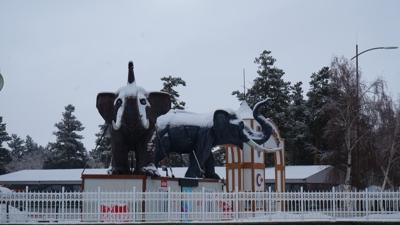 Kar Erzurum'a �ok yak��t�! Kartpostall�k g�r�nt�ler