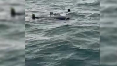 Bal�k��lar fark etti... Arnavutk�y'de �HA pani�i