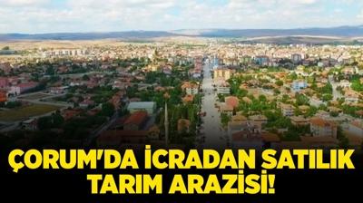 �orum Alaca'da icradan sat�l�k tar�m arazisi!