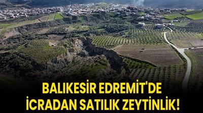 Balıkesir Edremit'de icradan satılık zeytinlik!