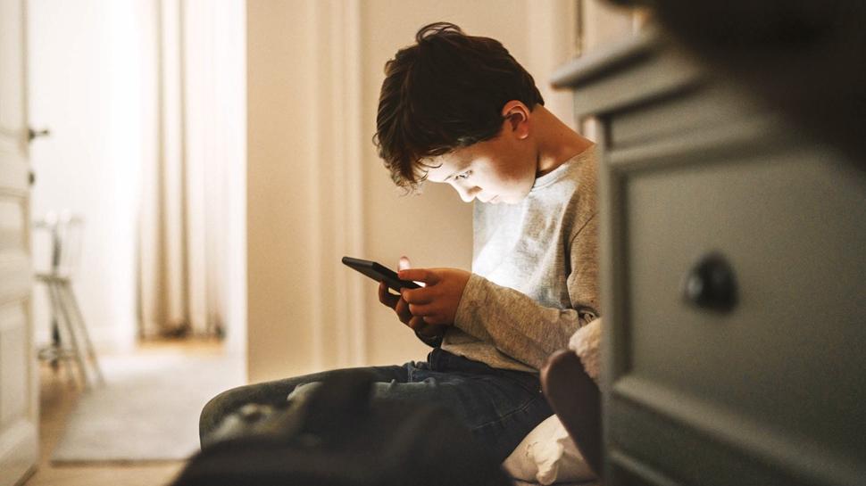 Sosyal medyaya 'T�rk modeli' denetim yolda