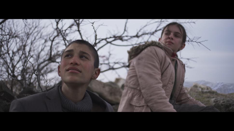 Festival yolculu�unu tamamlayan  Tav�an �mparatorlu�u  6 Mart'ta sinemalarda