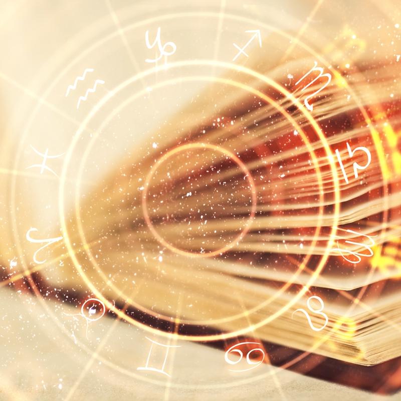 En hamarat bur�lar: Evleri temiz, yemekleri leziz