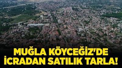 Mu�la K�yce�iz'de icradan sat�l�k tarla!