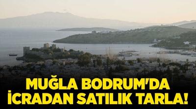 Mu�la Bodrum'da icradan sat�l�k tarla!