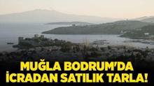Mu�la Bodrum'da icradan sat�l�k tarla!
