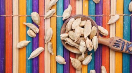 Kronik hastal�klar�n en lezzetli ilac�: Bir avucu kalbin muhaf�z�