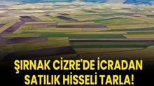 ��rnak Cizre'de icradan sat�l�k hisseli tarla!