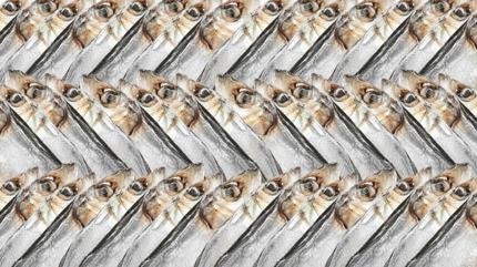 Zeka testi: Bal�klar�n aras�ndaki kanarya nerede? 600 ki�i denedi 35'i 7 saniyede buldu