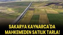 Sakarya Kaynarca'da mahkemeden sat�l�k tarla!
