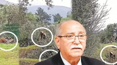 A�a� katliam�na valilik incelemesi