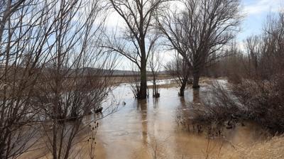 Karlar eridi, �rmak ta�t�: 10 bin d�n�m ekili arazi su alt�nda kald�