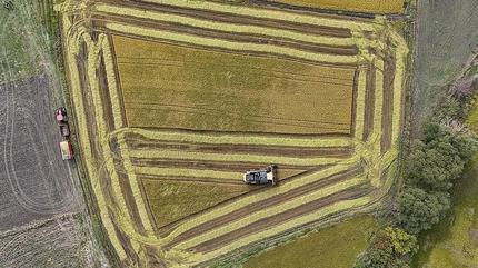 Hazine destekli tar�m ve esnaf kredilerine d�zenleme