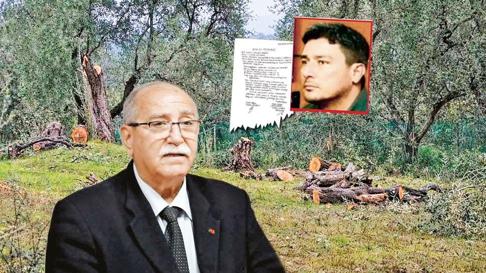 Zeytinlik katliam�nda h�lle takti�i