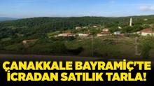 �anakkale Bayrami�'te icradan sat�l�k tarla!