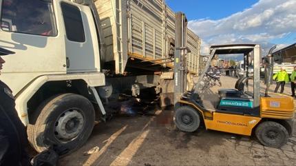 Ayd�n'da trajik kaza: Tamir edilen kamyonun alt�nda kald�lar