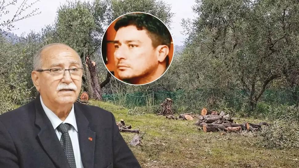 Zeytinlik katliam� skandal�nda yeni perde! Damat g�revden al�nd�