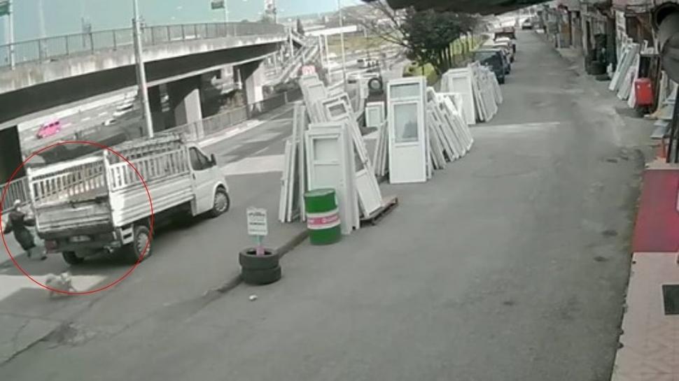 Sahipsiz köpek faciası! Üniversiteli genç ağır yaralı