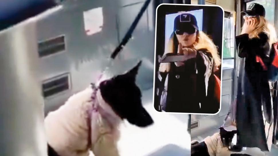 K�pek bahanesiyle nefret kustu