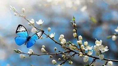 2. ve 3. Cemre ne zaman d��ecek? Havalar ne zaman �s�nacak?