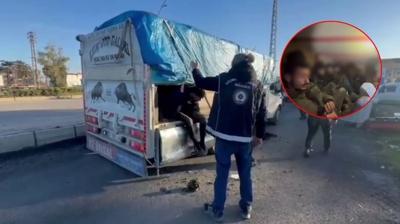 Ak�llara durgunluk veren plan: Onlarcas� k�sk�vrak yakaland�