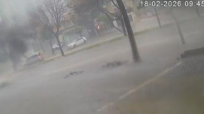 F�rt�na dev a�a�lar� k�k�nden s�kt�: O anlar kamerada