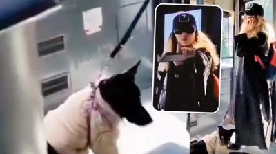 K�pek bahanesiyle ba��rt�l� kad�na nefret kusmu�tu... Sahte savc� tutukland� 