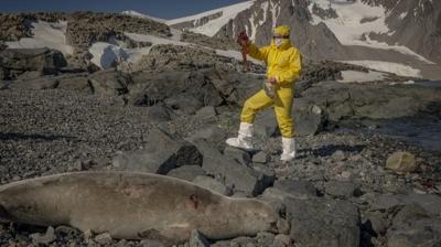 T�rk bilim insanlar� sa�l�k ve tar�ma ���k tutuyor