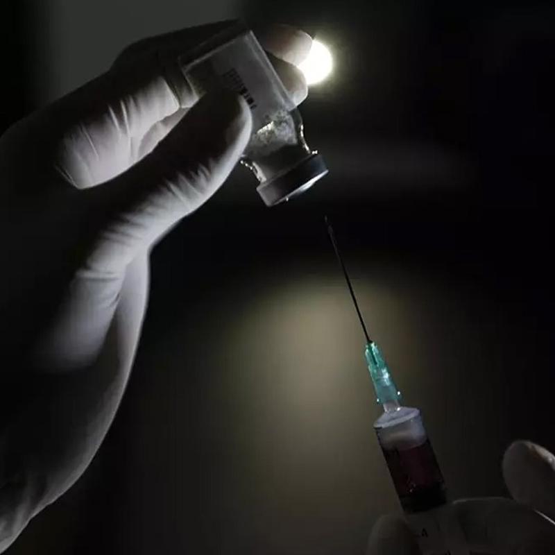 Valilikten �kuduzda patlama� haberlerine yalanlama: �stanbul'da 2007'den bu yana vaka yok