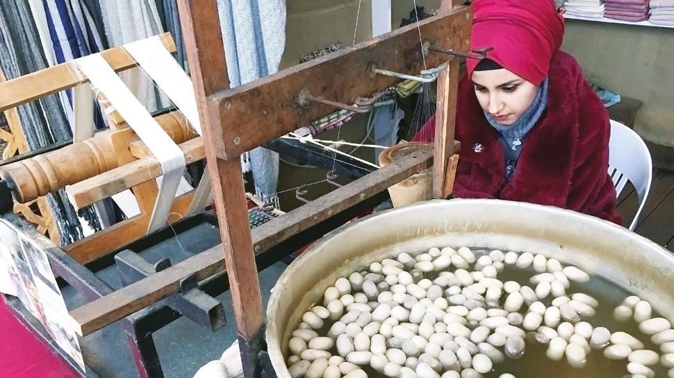 �pekb�cek�ili�i gen� �ift�ilerle y�kseli�te