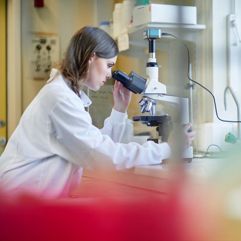 Kritik iki e�ik: Ya�l�l�k bu iki ya�ta belirgin