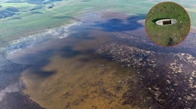 5 y�l sonra sevindiren g�r�nt�! Marmara G�l� umutland�rd�