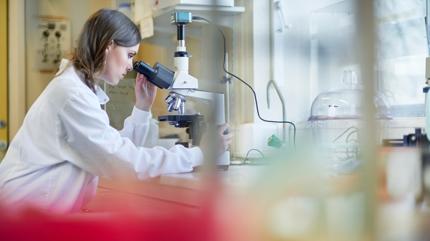 Kritik iki e�ik: Ya�l�l�k bu iki ya�ta belirgin