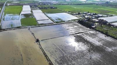 Ya���lar tar�ma can suyu oldu