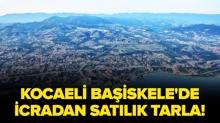 Kocaeli Ba�iskele'de icradan sat�l�k tarla!