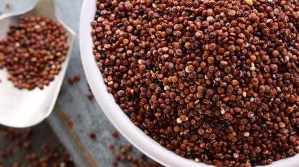 Enerji a����n� tek ba��na kapat�yor: Protein deposu baklagil