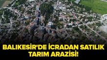Bal�kesir Manyas'da icradan sat�l�k tar�m arazisi!