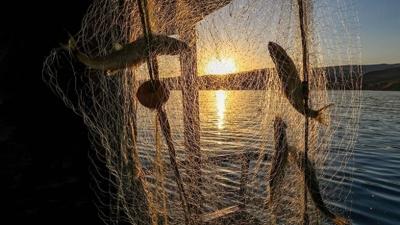 DKMP duyurdu: Av sezonu kapand�