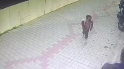 �zmir'de k�pek deh�eti: Minik Ada b�yle sald�r�ya u�rad�