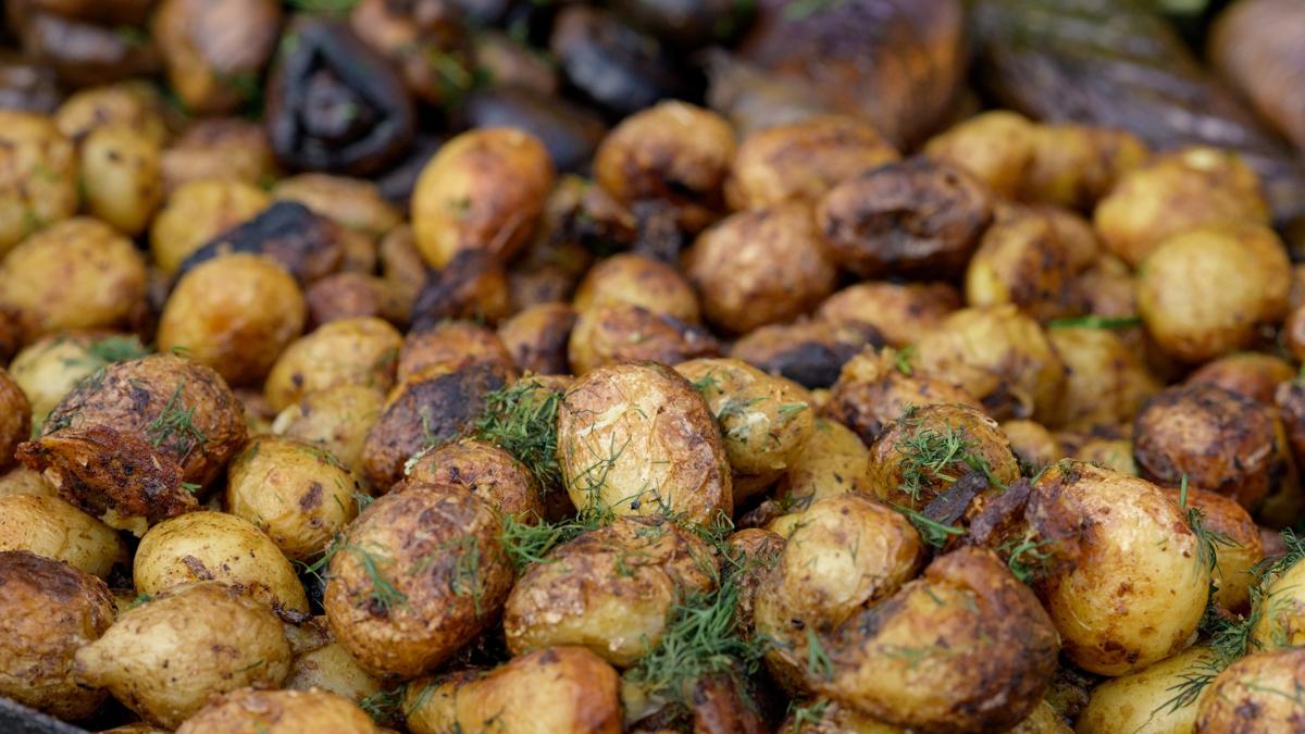 ba��rsak sa�l�k hayat foto�raflar� resimleri