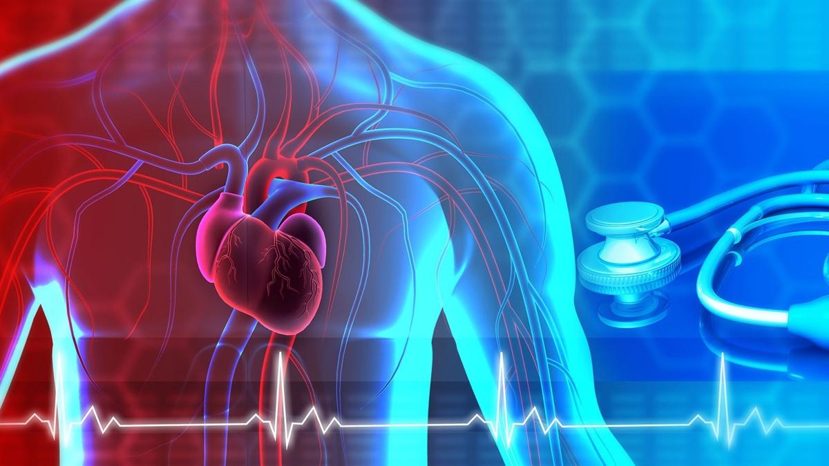 bataryas�z radyo frekans�  kablosuz g�� sa�lama  implantlar foto�raflar� resimleri