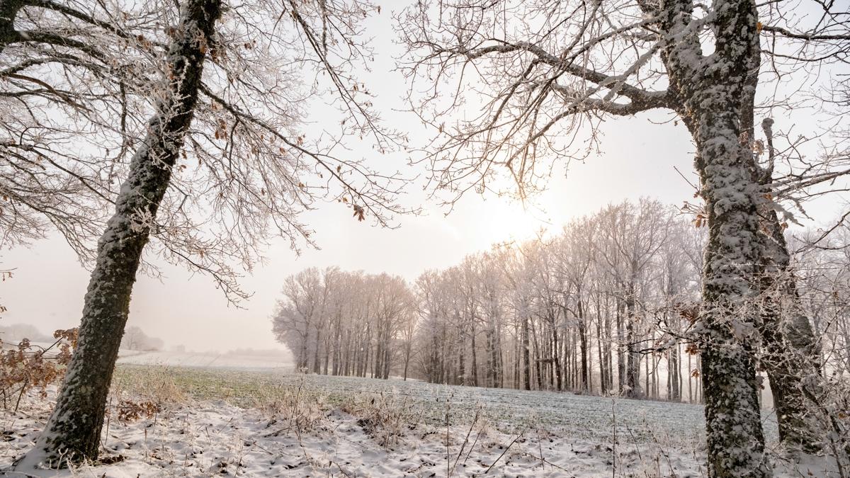 k�rklareli �st�ranca ormanlar� seyahat turizm foto�raflar� resimleri