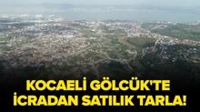 Kocaeli G�lc�k'te icradan sat�l�k tarla!