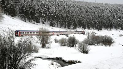 Kartpostall�k g�r�nt�ler... Sar�kam�� ormanlar� beyaz �rt� alt�nda