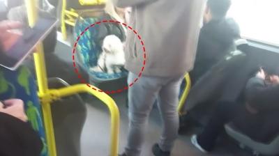 K�pe�e var insana yok! Metrob�ste koltuk polemi�i