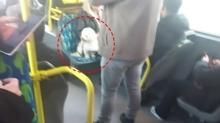 K�pe�e var insana yok! Metrob�ste koltuk polemi�i