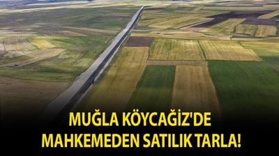 Mu�la K�yca�iz'de mahkemeden sat�l�k tarla!