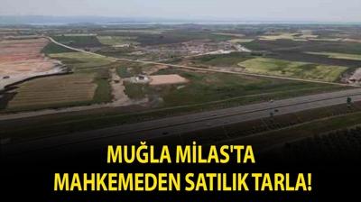 Mu�la Milas'ta mahkemeden sat�l�k tarla!