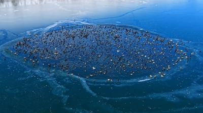 Nazik G�l�'nde renkli bulu�ma... �rdekler g�rsel ��len sundu