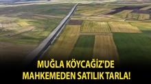 Mu�la K�yca�iz'de mahkemeden sat�l�k tarla!